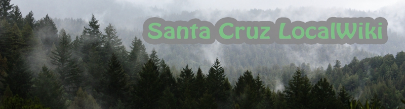 sm_santa-cruz-localwiki.jpg