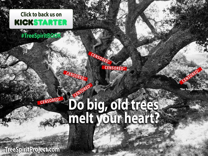 sm_treesproject-book-kickstarter-1.jpg 