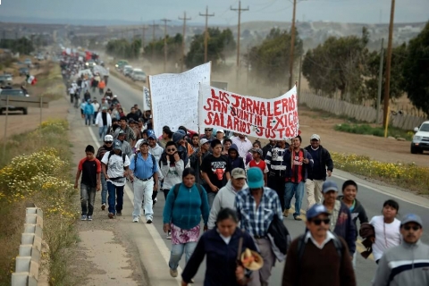 480_mexico_farmworkers_march_against_.jpg
