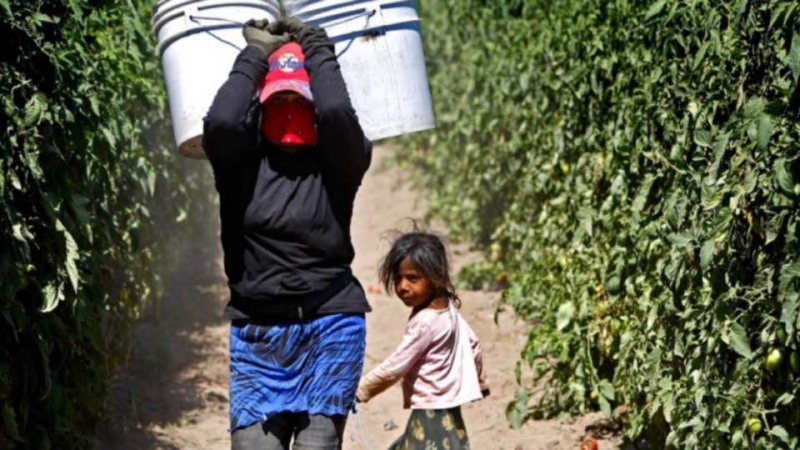 sm_mexico_san_quinten_women_farmworker_with_child.jpg 