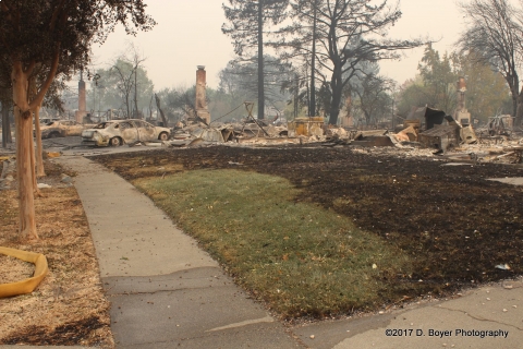 480_santarosafirestormdamage0046.jpg