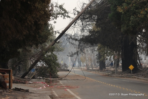 480_santarosafirestormdamage0075.jpg