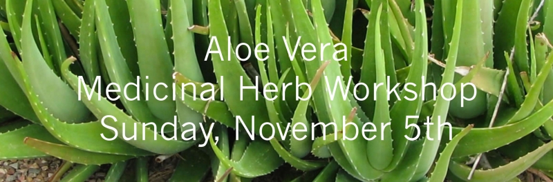 sm_aloe-vera_medicinal_herb_workshop.jpg 