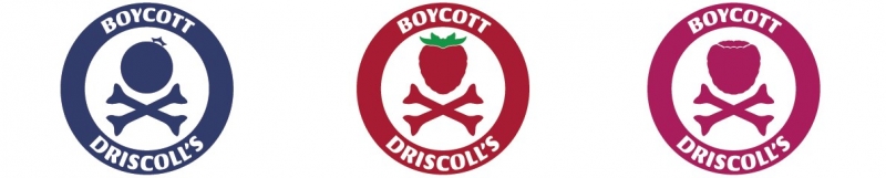 sm_boycott-driscolls-support-sindja-baja-california.jpg 