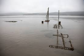 tomales_bay_image.jpeg