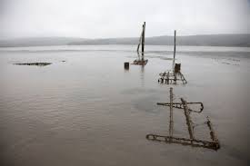 UBC 34 diver Matthew Zugsberger was hired to work in the removal of oyster racks at the Drake's Bay Estero clean-up. As he did the work he discovered highly toxic and deadly chemicals which threatened