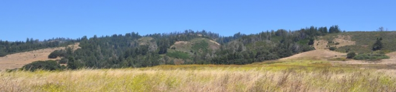 sm_cotoni_coast_ridge_davenport_sempervirens_fund.jpg 