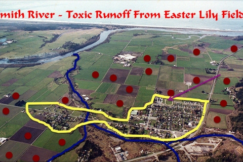 480_smith_river_toxic_fields.jpg