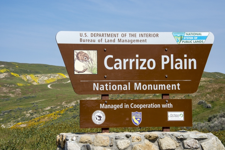 sm_carrizo-plain-national-monument_ronald-l.-williams.jpg 