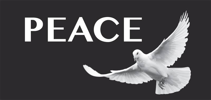 peace_dove.jpg