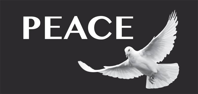 peace_dove.jpg 