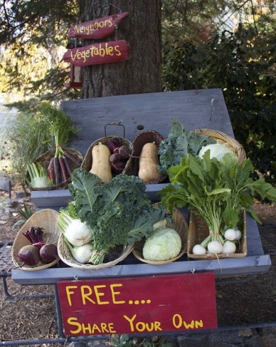 sm_42nd_avenue_community_cupboard_capitola.jpg 