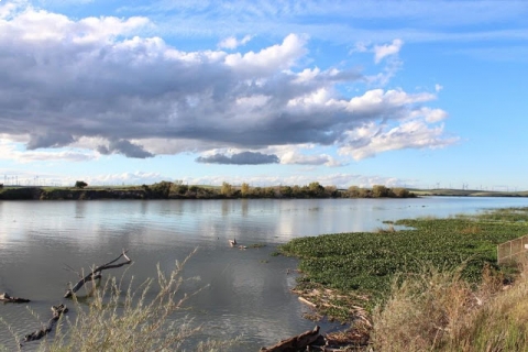 sacramento_river.jpg