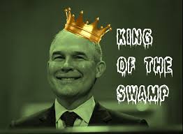 pruitt_king_o_the_swamp.jpeg 