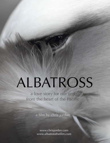 sm_albatross_film_poster_highres.jpg 