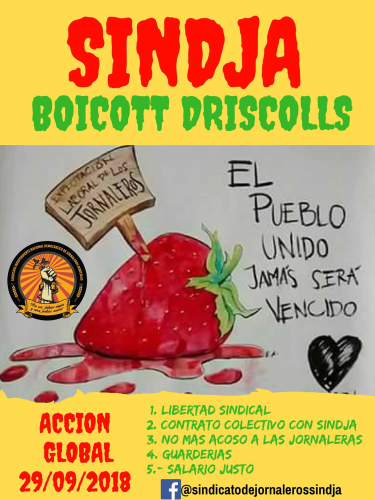 sm_boycott-driscolls-global-action-sep-29-2018.jpg