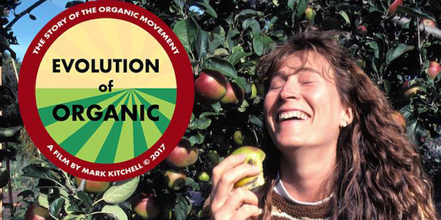 evolution_of_organic_poster_web.jpg 