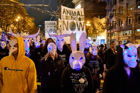 480_dxe-sf-hauntedmarch-2018.jpg