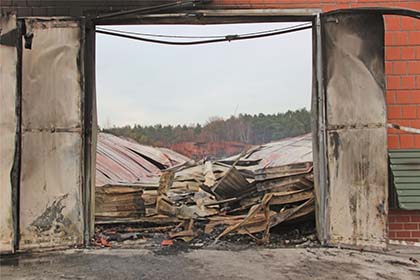 germany_poultry-farm_nov18.jpg 