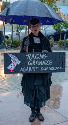 sm_jim_colton_raging_grannies_gun_protest_karend.jpg 