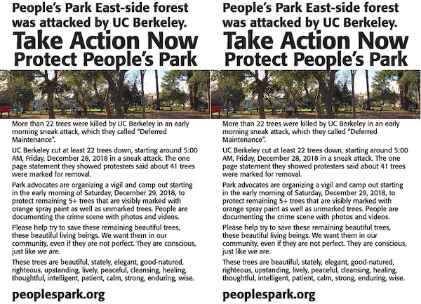 protect-peoples-park-trees-2018-12-v01.pdf_600_.jpg