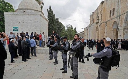 alaqsa2019-alray.jpg 