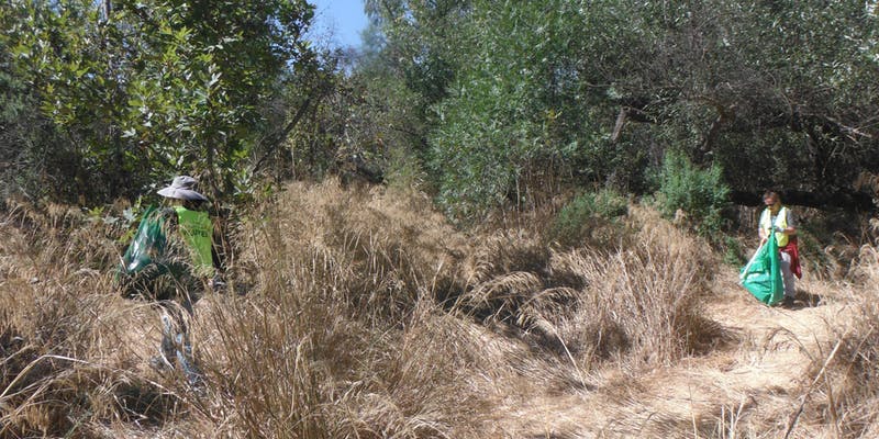 Earth Day Coyote Creek Volunteer Clean Up in San Jose : Indybay