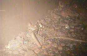 fukushima_melted_nuclear_rods.jpeg