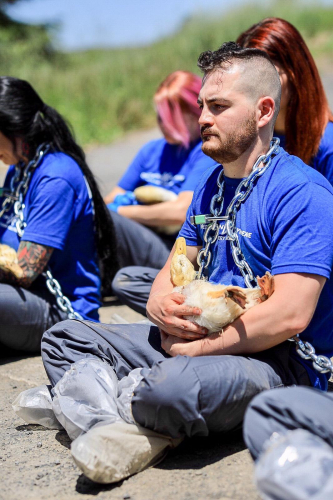 sm_dxe-petaluma_june03-2019b_activist-chained-holding-dead-duck.jpeg 