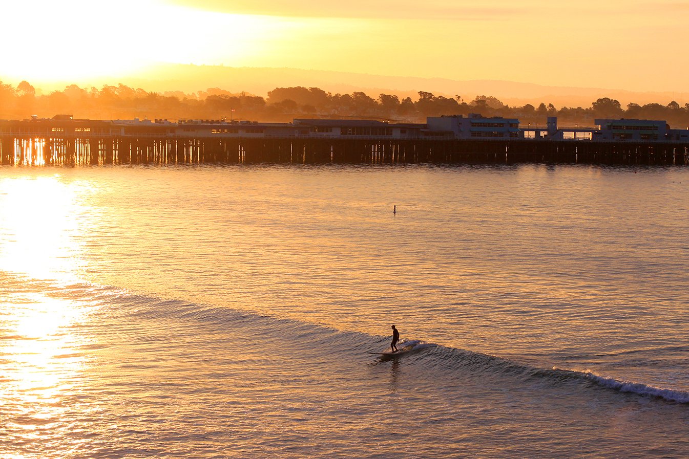 cowell-s-beach-sees-continued-reduction-in-bacteria-counts-despite