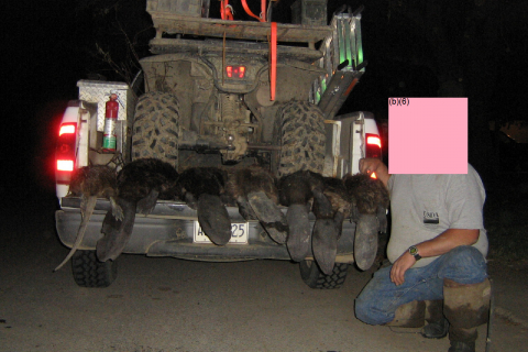 480_beavers_6_in_truck_bed_with_wildlife_services_uniformed_staff_hot_16-05813-item_2_ms_records_10_usda_wildlife_services_foia_fpwc.jpg