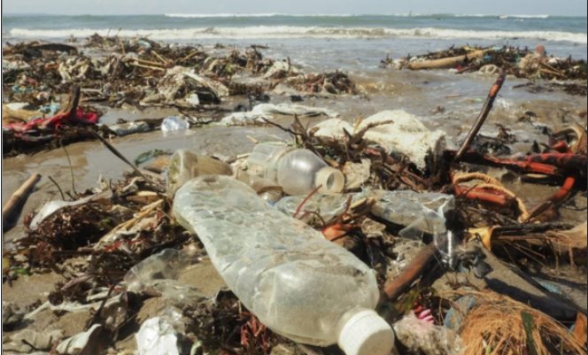 plastic_ocean_pollution.jpg 