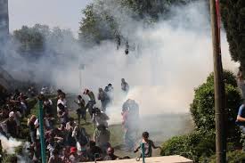 turkey_repression.jpeg