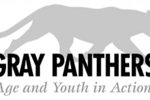 panther__22age___youth_in_action_22.jpeg