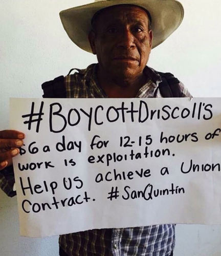sm_mexico_san_quintin_worker_boycott_driscoll_s.jpg 
