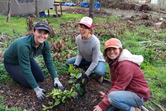 j_r_another_planting_vegies.jpg 