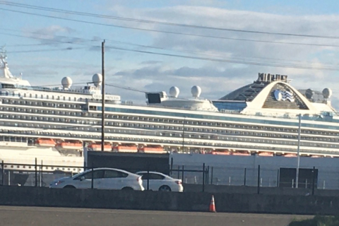 480_grand_princess_next_to_oakland_cranees_1.jpg