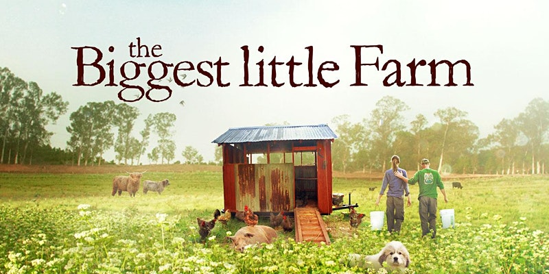 farm.jpg