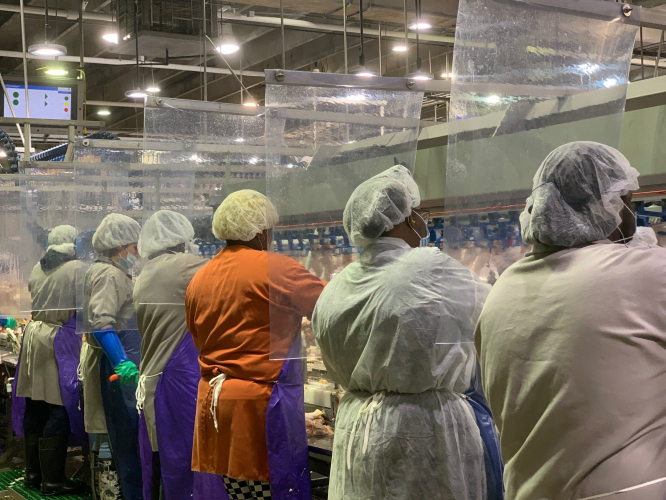 sm_covid_meat_plant_workers_.jpg 