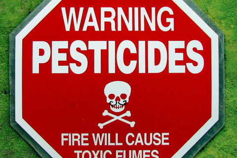 480_pesticides_1.jpg