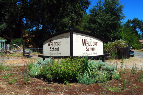 480_waldorf-school-mendocino-county-calpella-8-13-20_15.jpg