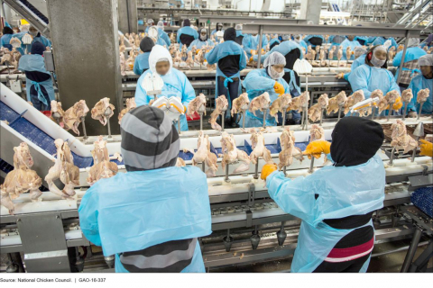 480_foster_farms_assembly_line.jpg