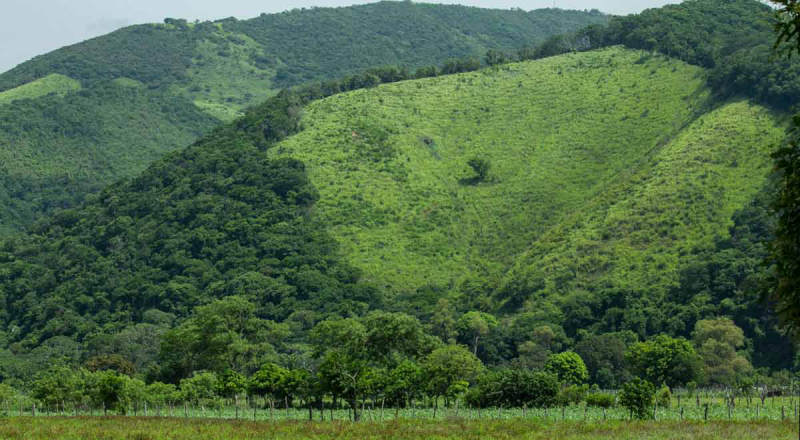 sm_______mex_oaxaca_territorio-chimalapas.jpg 
