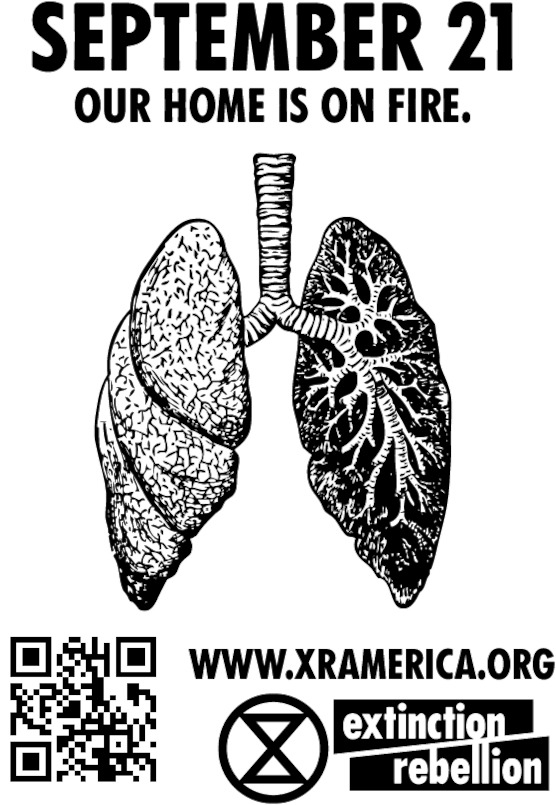 09.21_lungs.pdf_600_.jpg