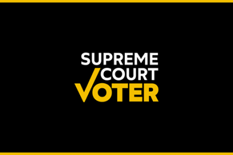 480_supreme_court_voter.jpg 