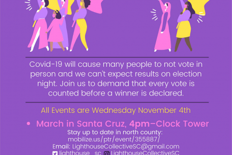 480_rally_to_demand_every_vote_gets_counted_santa_cruz_watsonville_november_4_2020_1.jpg