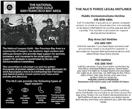 nlg_flyer_half-sheet.pdf_600_.jpg