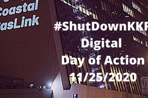shutdownkkr-dayofaction-11252020.jpg