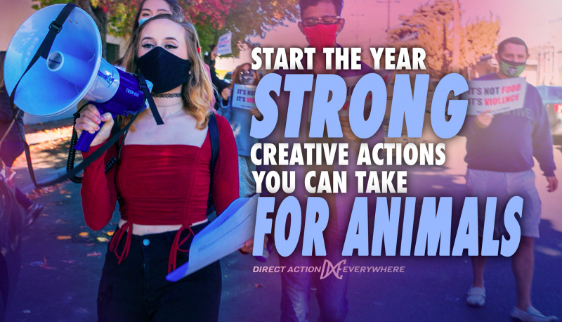 sm_meetup-_start_the_year_strong_-_creative_actions_you_can_take_for_animals_.jpg 