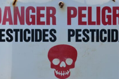adobestock_danger-pesticides-700x280.jpg